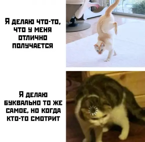 Смешная картинка №414354