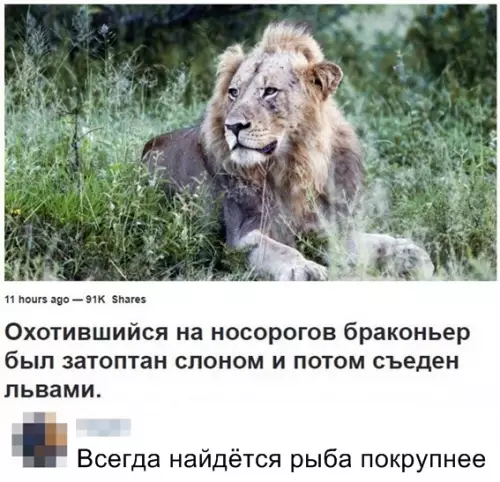 Смешная картинка №346117