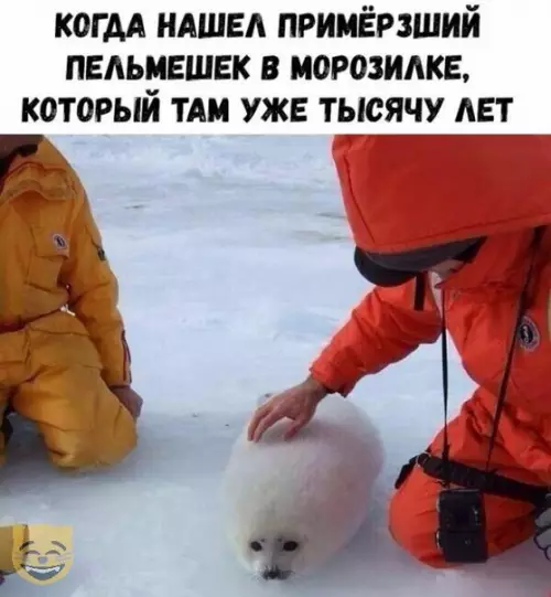 Смешная картинка №331034