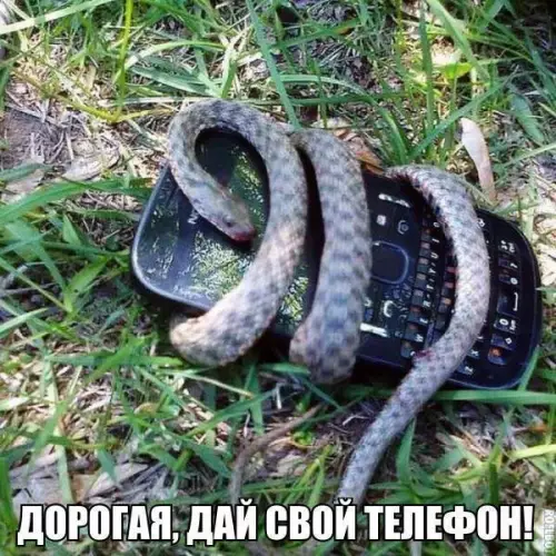 Смешная картинка №258120