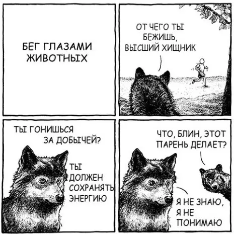 Смешная картинка №215814 Бег глазами животных