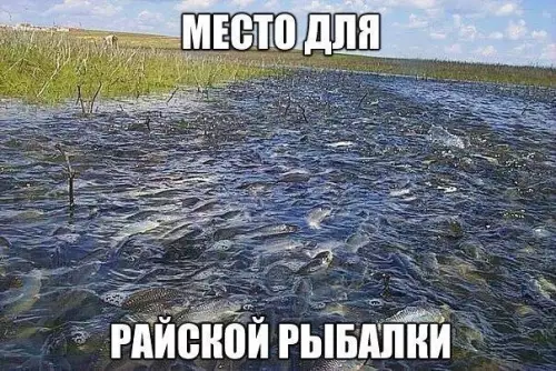 Смешная картинка №275461