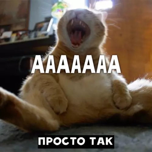 Смешная картинка №394949 Утро начинается не с кофе