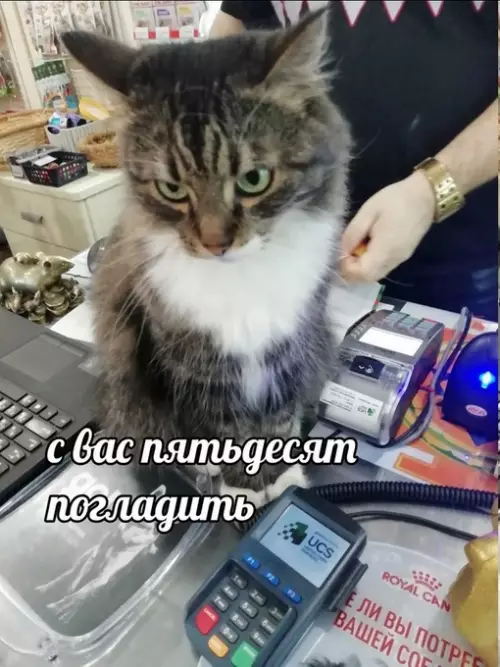 Смешная картинка №704071