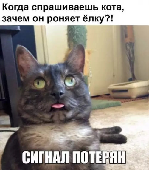 Смешная картинка №236500