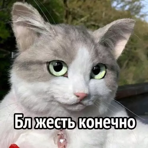 продолжение Смешная картинка №586976 Прохожие могут реально испугаться