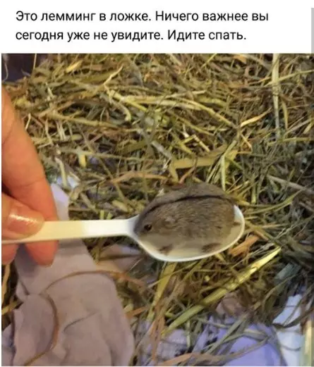 Смешная картинка №245150