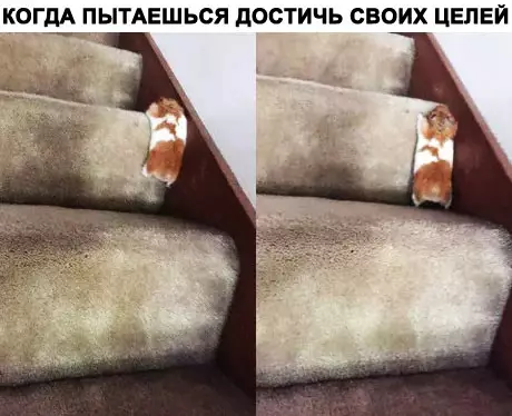 Смешная картинка №284818
