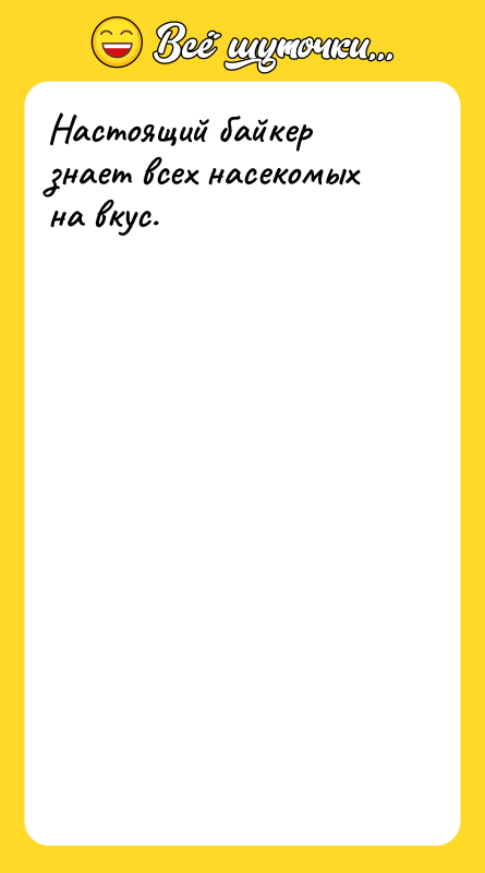 Настоящий байкер знает всех насекомых на вкус.