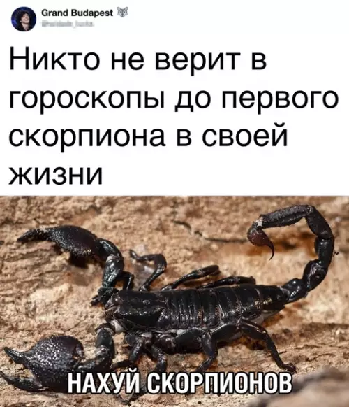 Смешная картинка №368752
