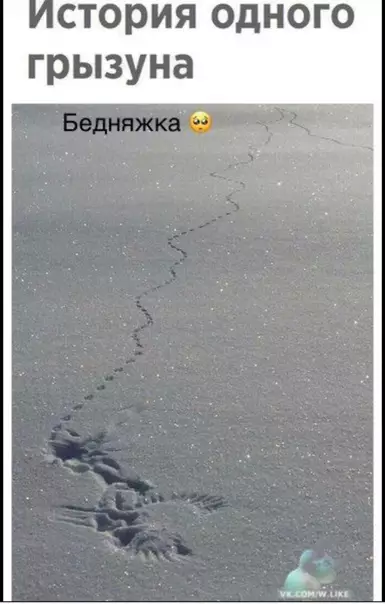 Смешная картинка №325086