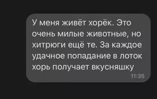 Смешная картинка №606312 Животные