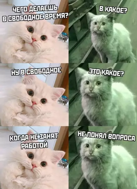 Смешная картинка №470165