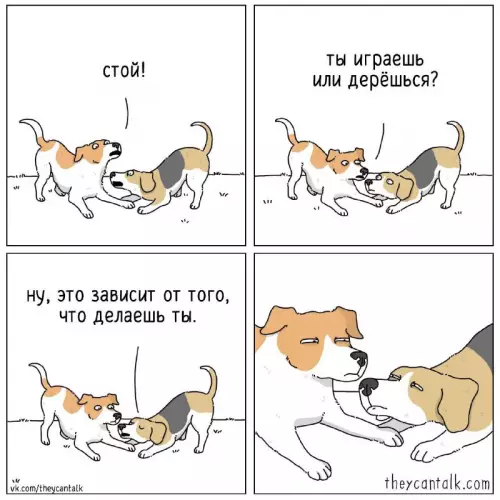 Смешная картинка №668104