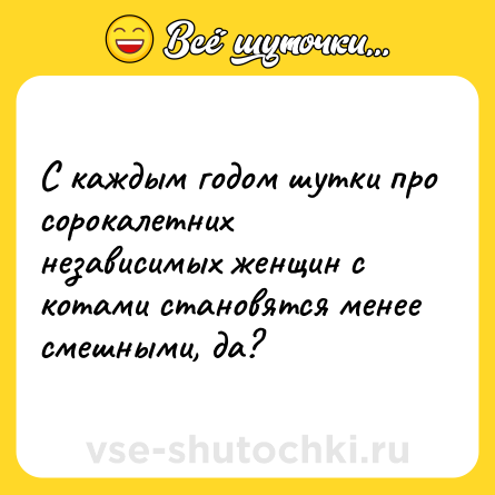 Шутка: С каждым годом шутки про сорокалетних независимых женщин с котами становятся менее смешными, да?