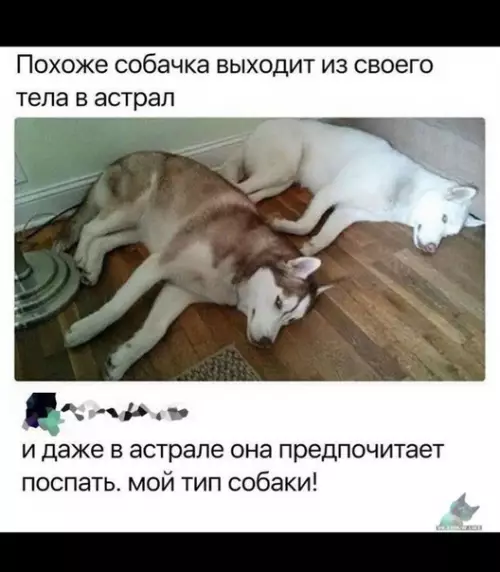 Смешная картинка №378505