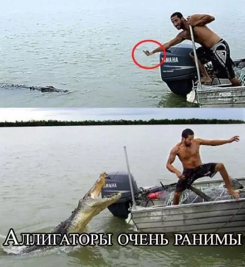 Смешная картинка №652119