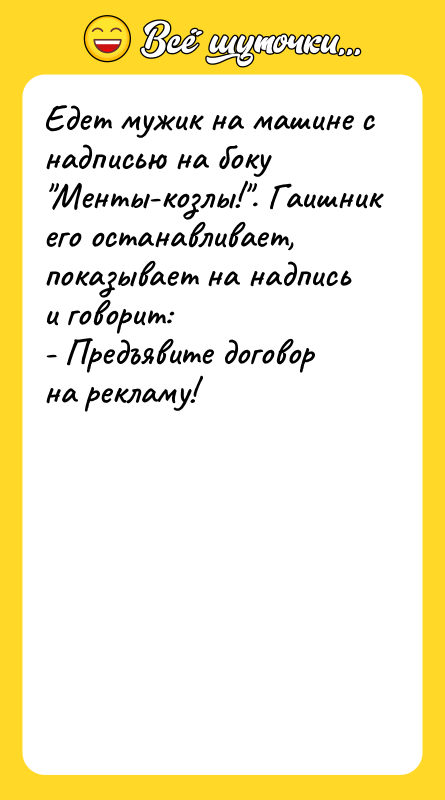 Едет мужик на машине с надписью на боку Менты-козлы! . Гаишник