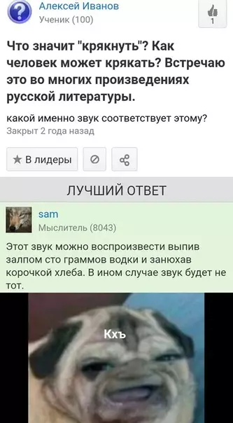 Смешная картинка №466000 Haдo пpoвepить
