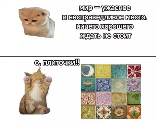Мир жесток, но плиточка спасает! 🐱✨ - мир ужасное и несправедливое место. ничего хорошего ждать не стоит.