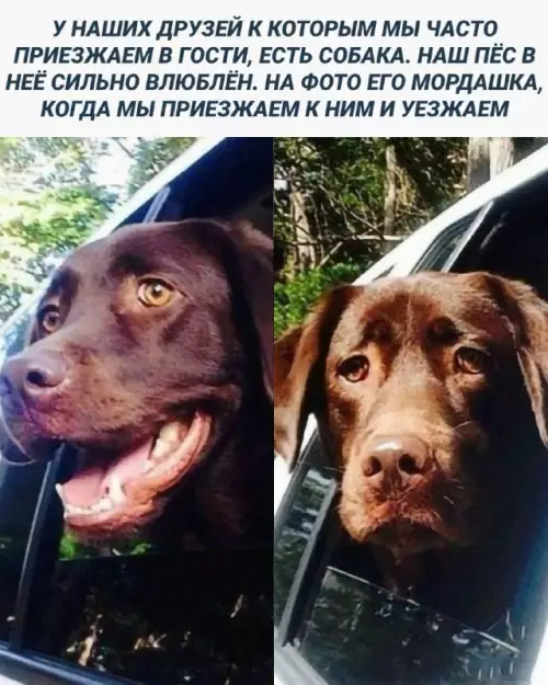 Смешная картинка №683474