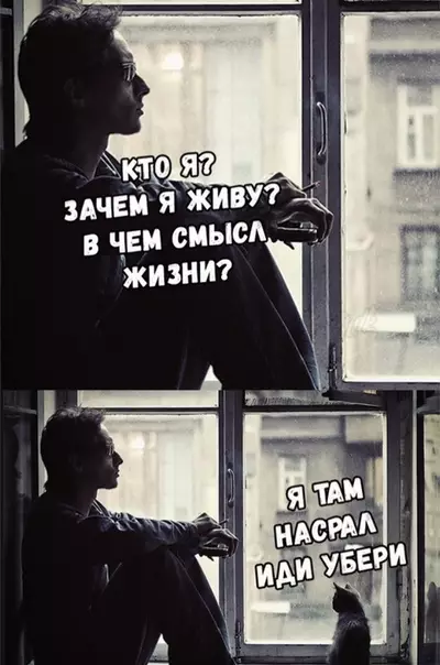Смешная картинка №291837 Кот ответил на все вопросы)