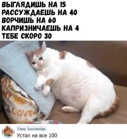 Смешная картинка №392677