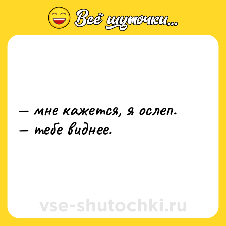 Шутка: — мне кажется, я ослеп. <br>— тебе виднее.