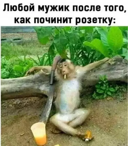 Смешная картинка №724267