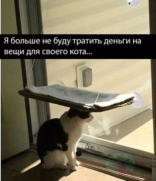Смешная картинка №244680