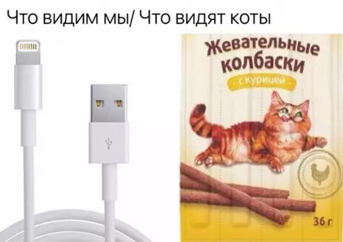 Смешная картинка №254558
