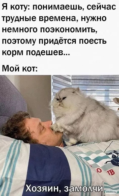 Смешная картинка №648985