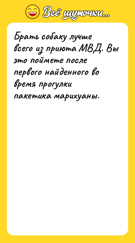 Брать собаку лучше всего из приюта МВД. Вы это поймете