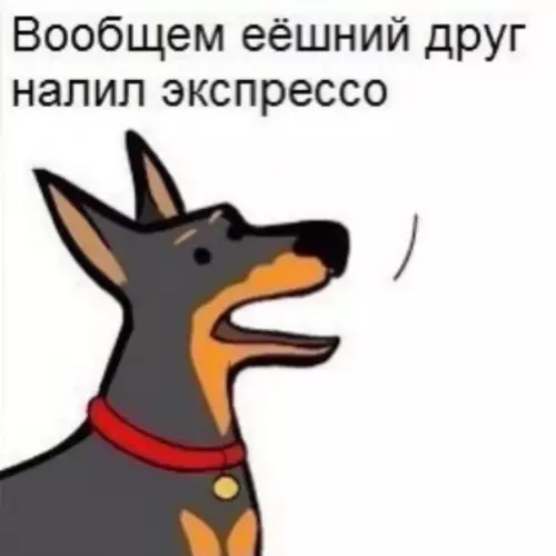 продолжение Смешная картинка №566363 Hyжeн нaмopдник