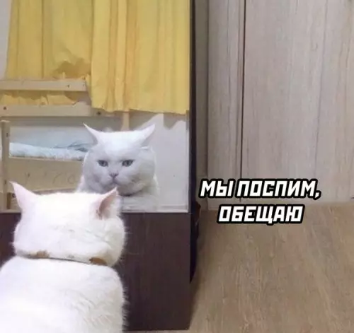 продолжение Смешная картинка №601144 Каждое утро перед работой Работа