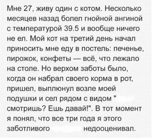 Смешная картинка №233595