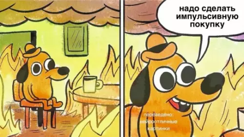 Когда депрессия, но скидки манят 🔥🐶 - надо сделать импульсивную покупку