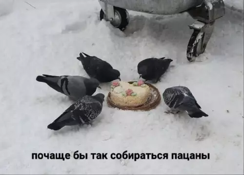 Смешная картинка №670185 Андрюха у нас мем