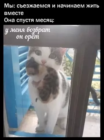 Смешная картинка №750112