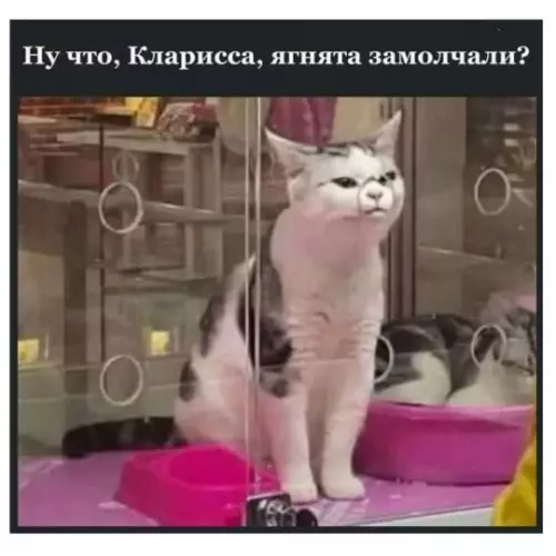 Смешная картинка №793268 Маньячное