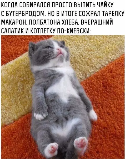 Смешная картинка №229493