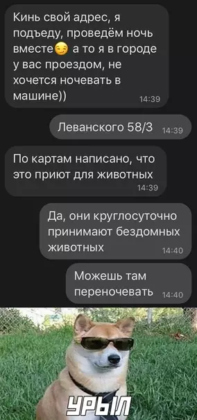 Смешная картинка №530943