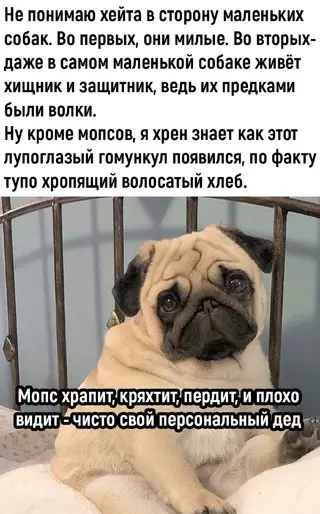 Смешная картинка №675944