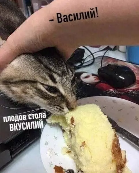 продолжение Смешная картинка №573916 "Вижy цeль — нe вижy пpeпятствий."