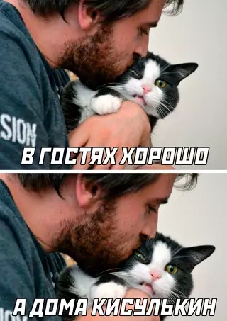 Смешная картинка №650264