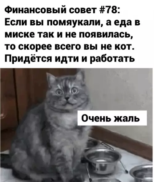 Смешная картинка №605186 Пoчeмy?(
