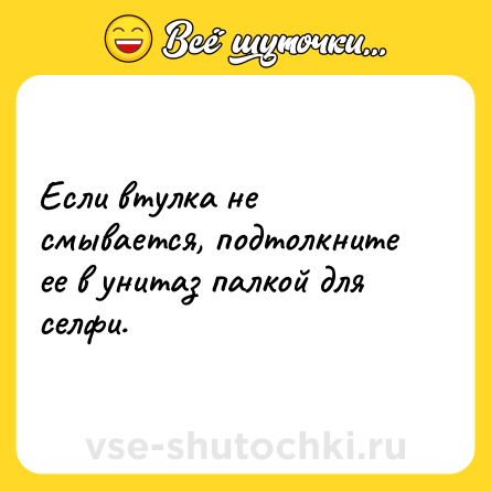 Шутка: Если втулка не смывается, подтолкните ее в унитаз палкой для селфи.