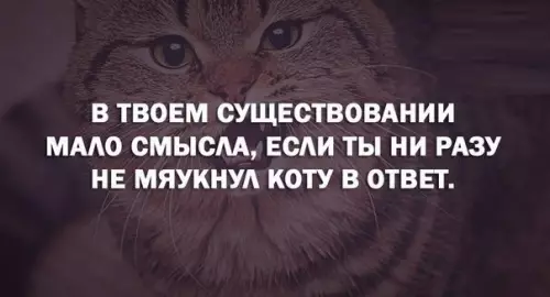 Смешная картинка №183901