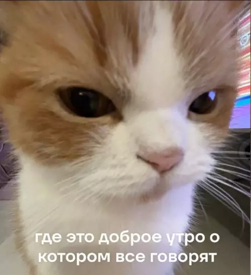 Смешная картинка №773269