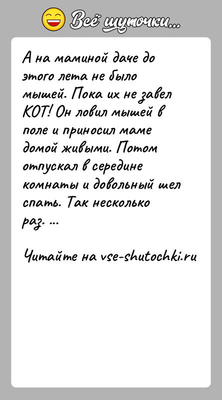 История: А на маминой даче до этого лета не было мышей. Пока их не завел КОТ! Он ловил мышей в поле